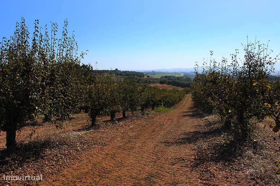 Terreno urbanizável, vista magnífica para Sul entre Óbidos e Bombarral-4