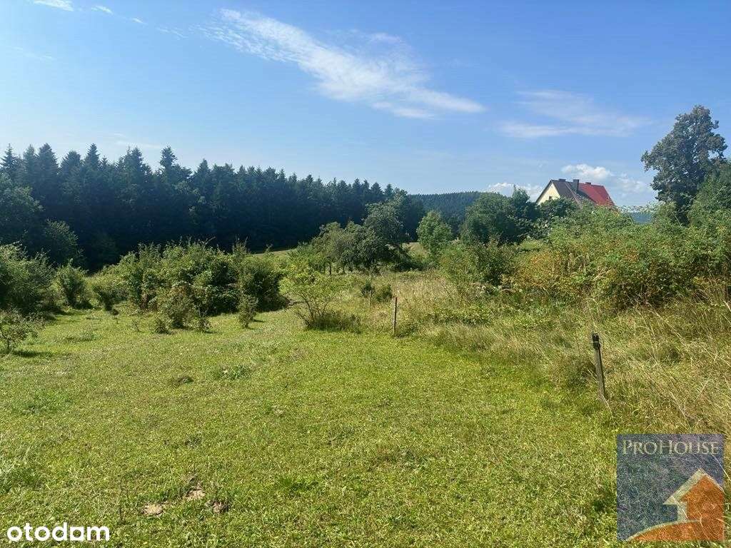 Działka, 3 030 m², Wysokie-3