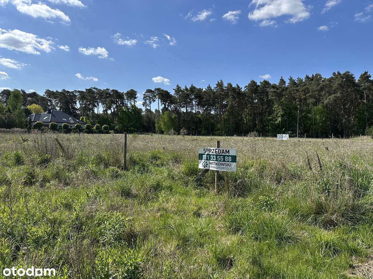 Piękna działka pod lasem na sprzedaż - Zakrzewo/Dąbrówka-8