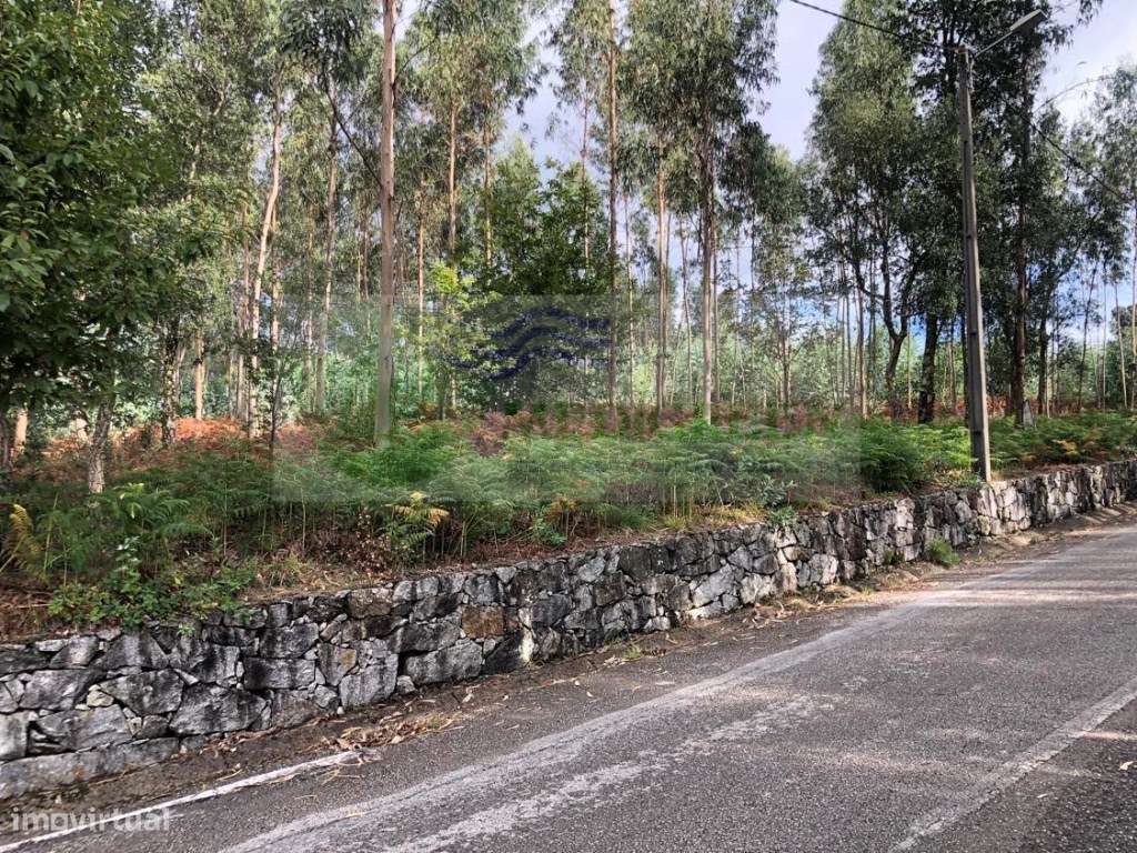 TERRENO PARA CONSTRUÇÃO | SILVA ESCURA - SEVER DO VOUGA - Grande imagem: 4/5
