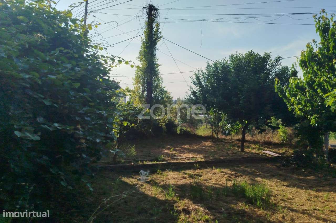 Moradia em Pedra com quintal em Matados, a 5 minutos Mangualde-10