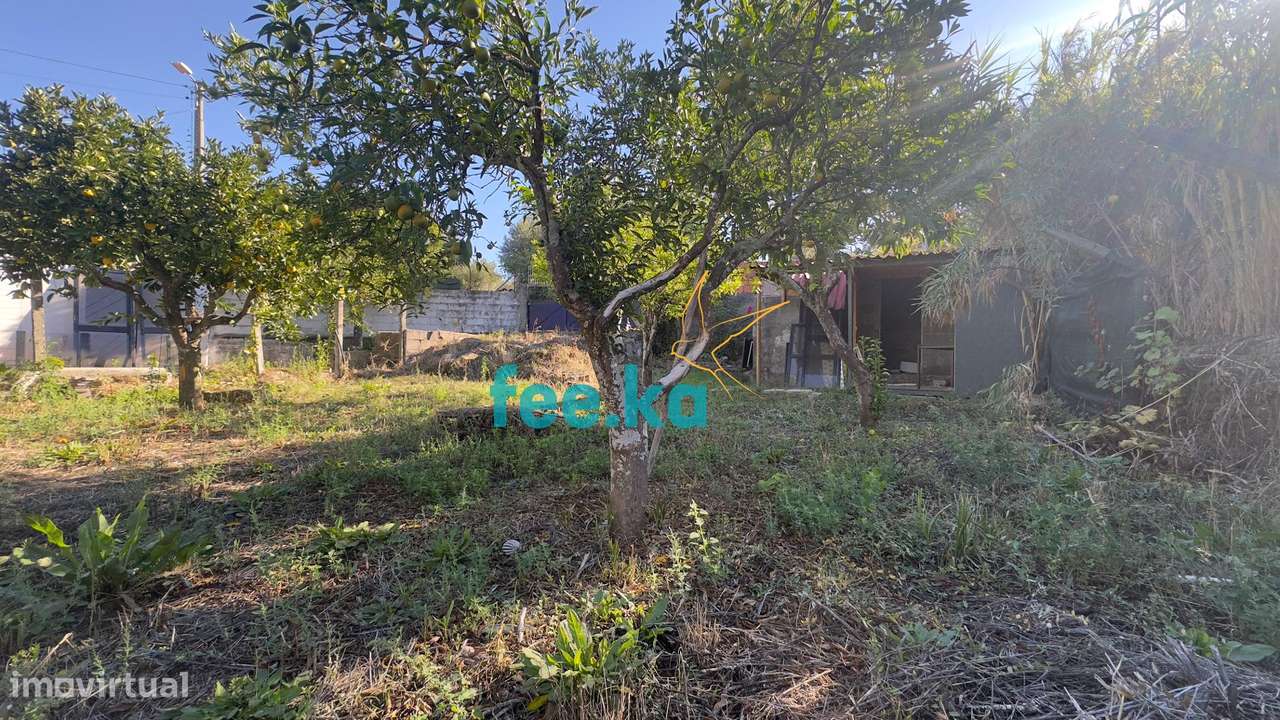 Quintinha T1 em Palvarinho-7