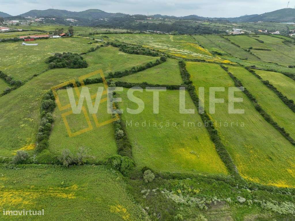 Terreno Rústico com 17000m2 - Agroflorestal e agrícola - Com curso ... - Grande imagem: 5/12