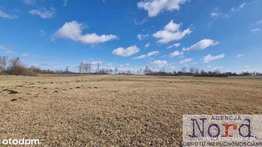 Działka usługowa w pobliżu Augustowa - Pełny obrazek: 5/9