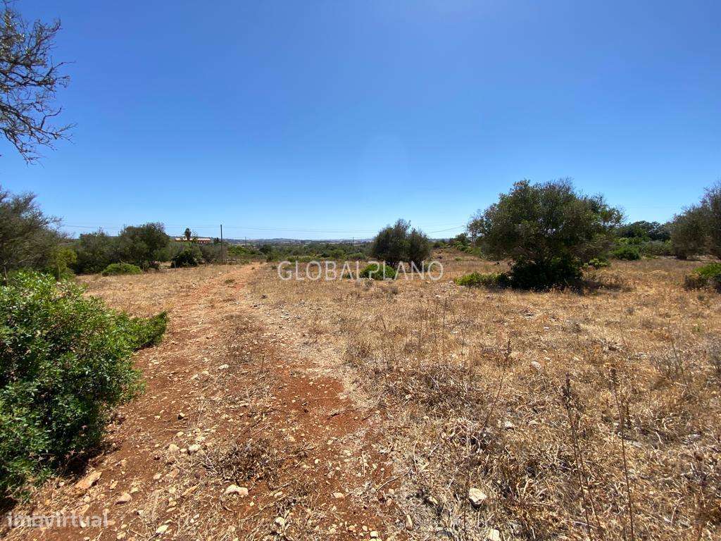 Fantástico terreno rural com viabilidade de construção - Grande imagem: 5/7