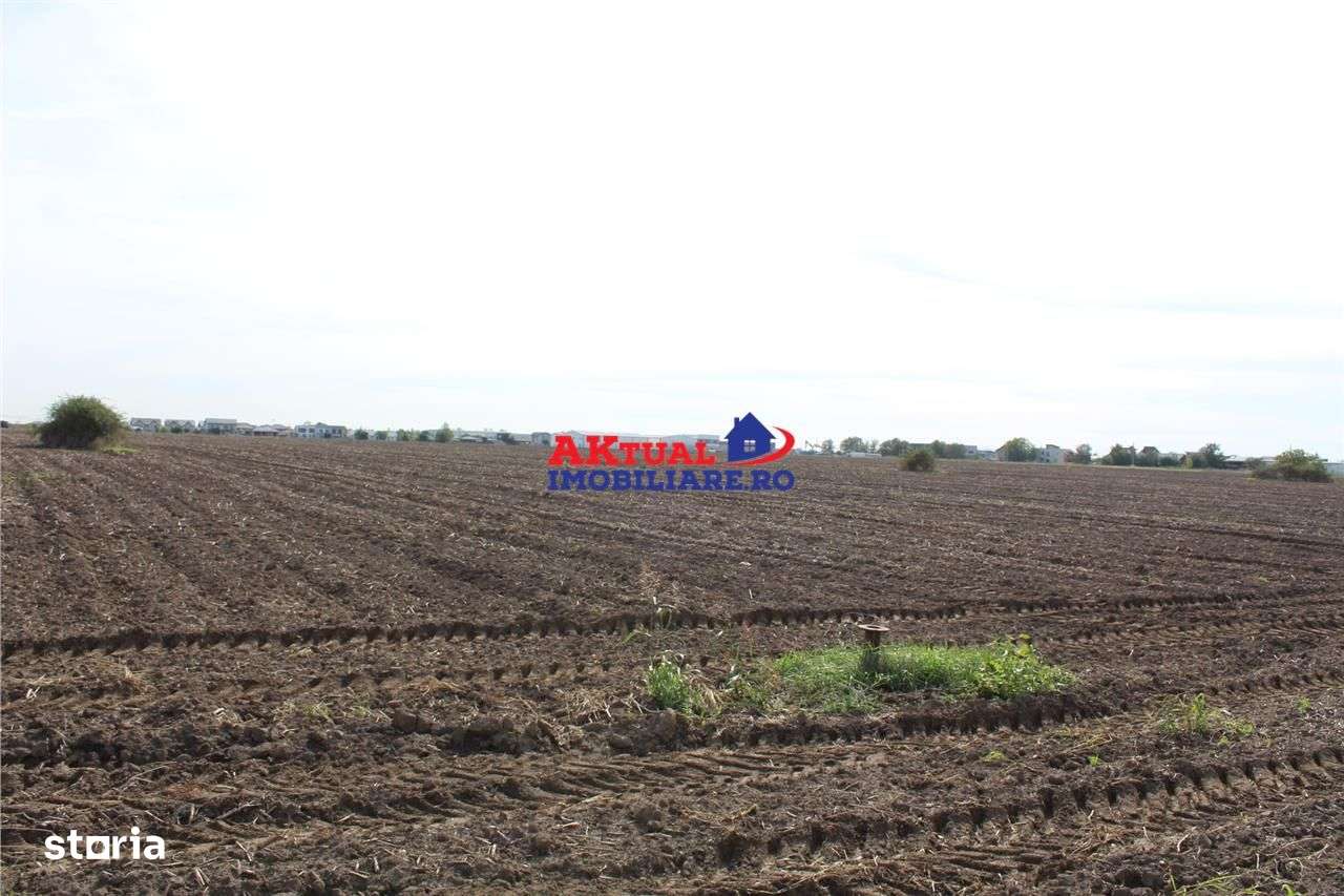 Teren de vanzare Balotesti -16.300mp-Stradal -Residentiale sau Comerci-3