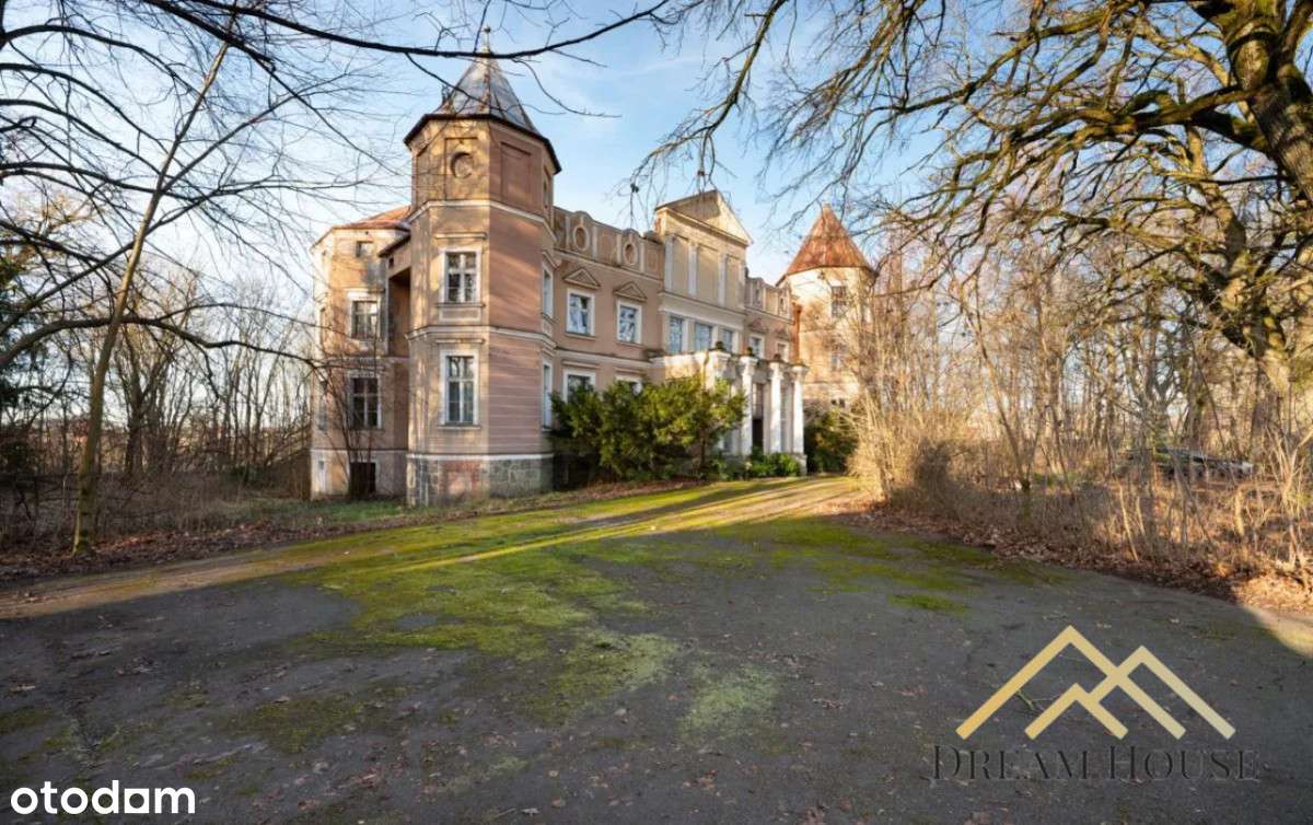 Zespół pałacowo parkowy, idealne miejsce na hotel - Pełny obrazek: 5/11