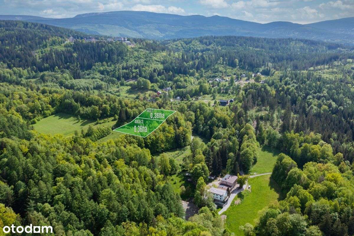 Działka Leśno-Rolna w otulinie leśnej - Pełny obrazek: 5/6