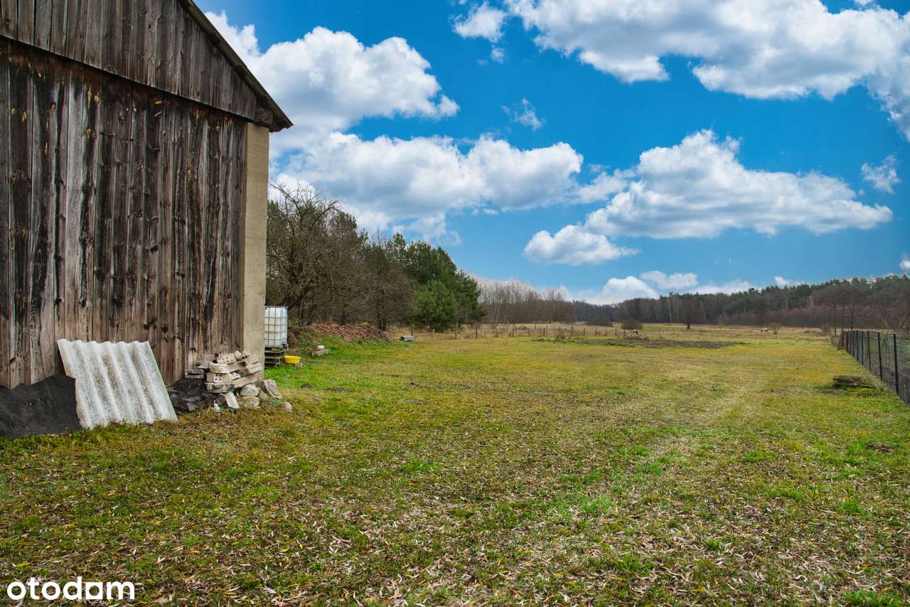 Siedlisko nad rzeką z zabudowaniami – Perkowice-15