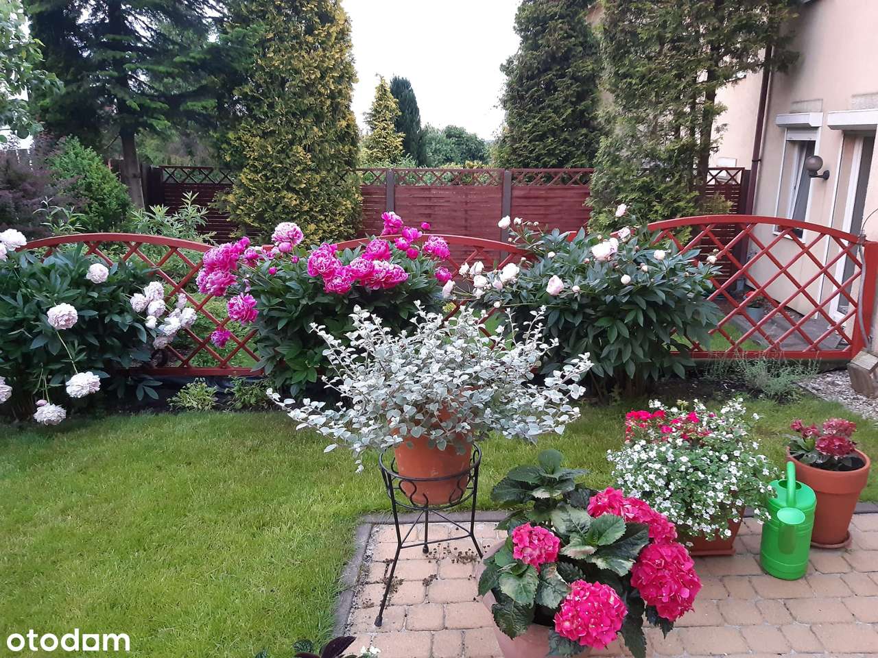 Dom szereg skrajny Gdynia Mały Kack-12