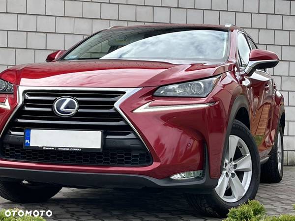 Lexus NX - 10