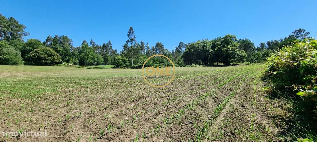 Terreno Rústico em Carreira, Santo Tirso - Grande imagem: 5/8
