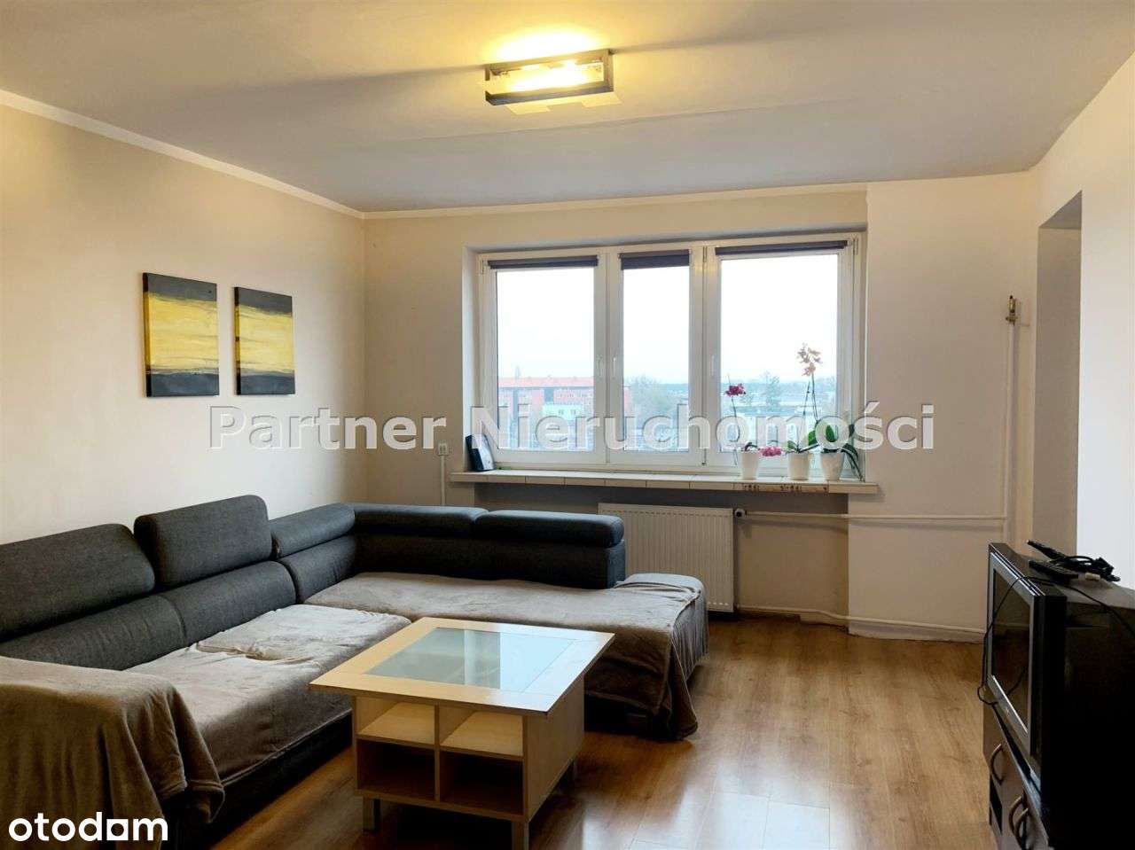 3 Pokoje!!!! Chełmińskie Przedmieście!!!!! - Pełny obrazek: 5/15