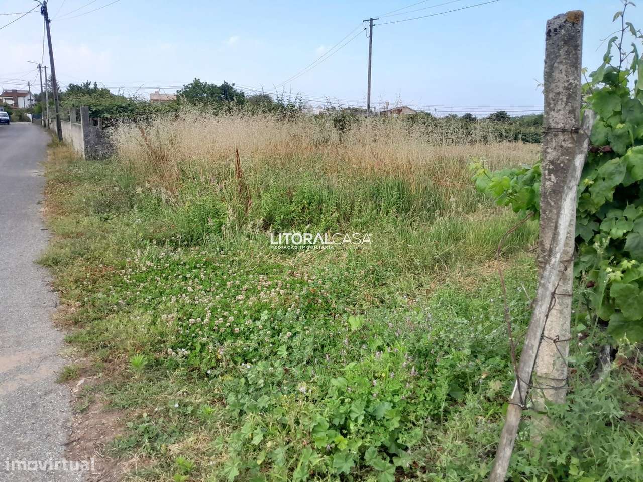 Terreno para construção no Troviscal - Grande imagem: 2/7