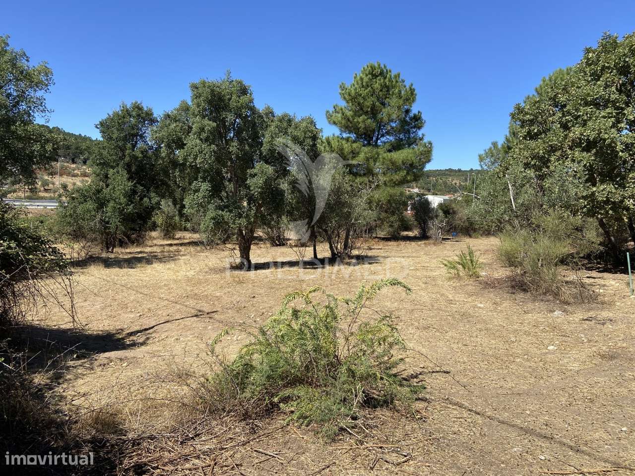 Terreno Urbano com 5000mts2, em Portalegre - Grande imagem: 5/29