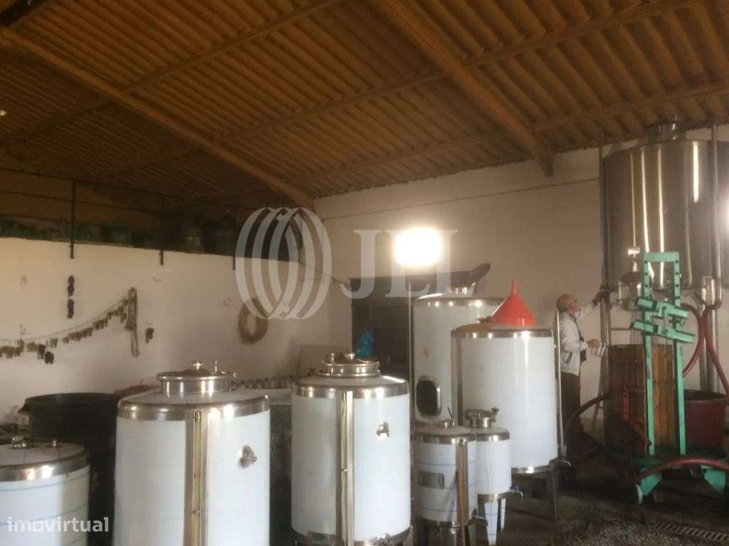 Quinta com 9 hectares, no Alto Douro Vinhateiro, Porto - Grande imagem: 4/22