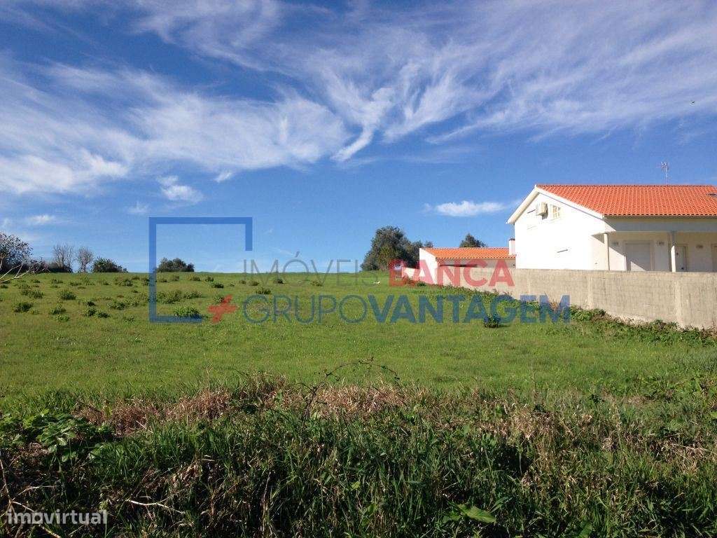 Terreno rústico com área de 5.500 m2 em Alfarelos - Grande imagem: 5/8