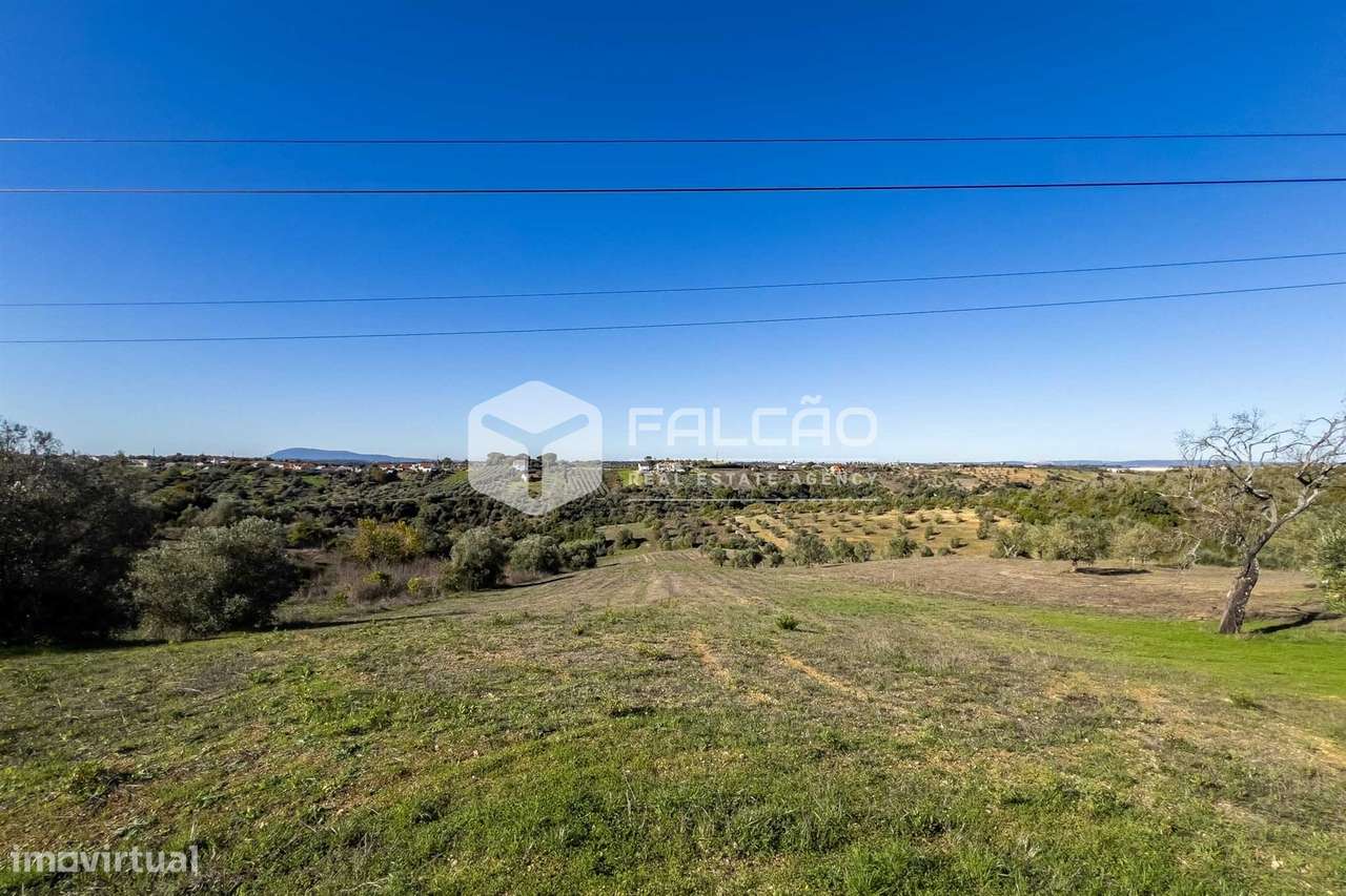 Terreno Para Construção  Venda em Moçarria,Santarém-30