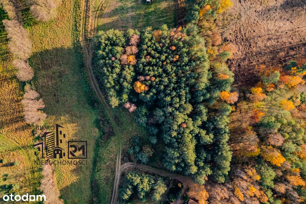 Duża działka rekreacyjna przy Jeziorze Głowińskim-10