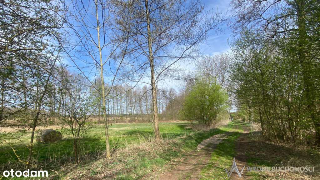 2000m2 ciszy i spokoju/własna lina brzegowa - Pełny obrazek: 4/6