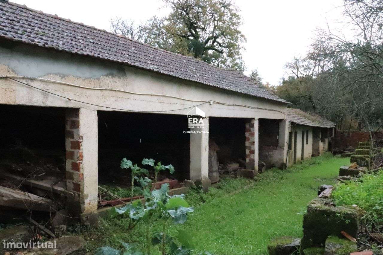 Moradia T3 em Maçãs de Dona Maria! - Grande imagem: 5/13