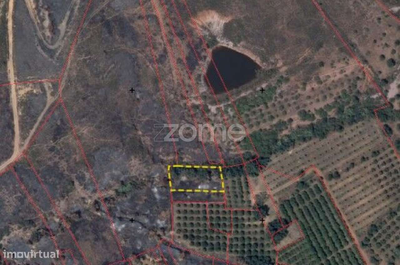 Terrenos Rústicos c/ total de 2.960m2 em Gregórios, Messines - Grande imagem: 3/15