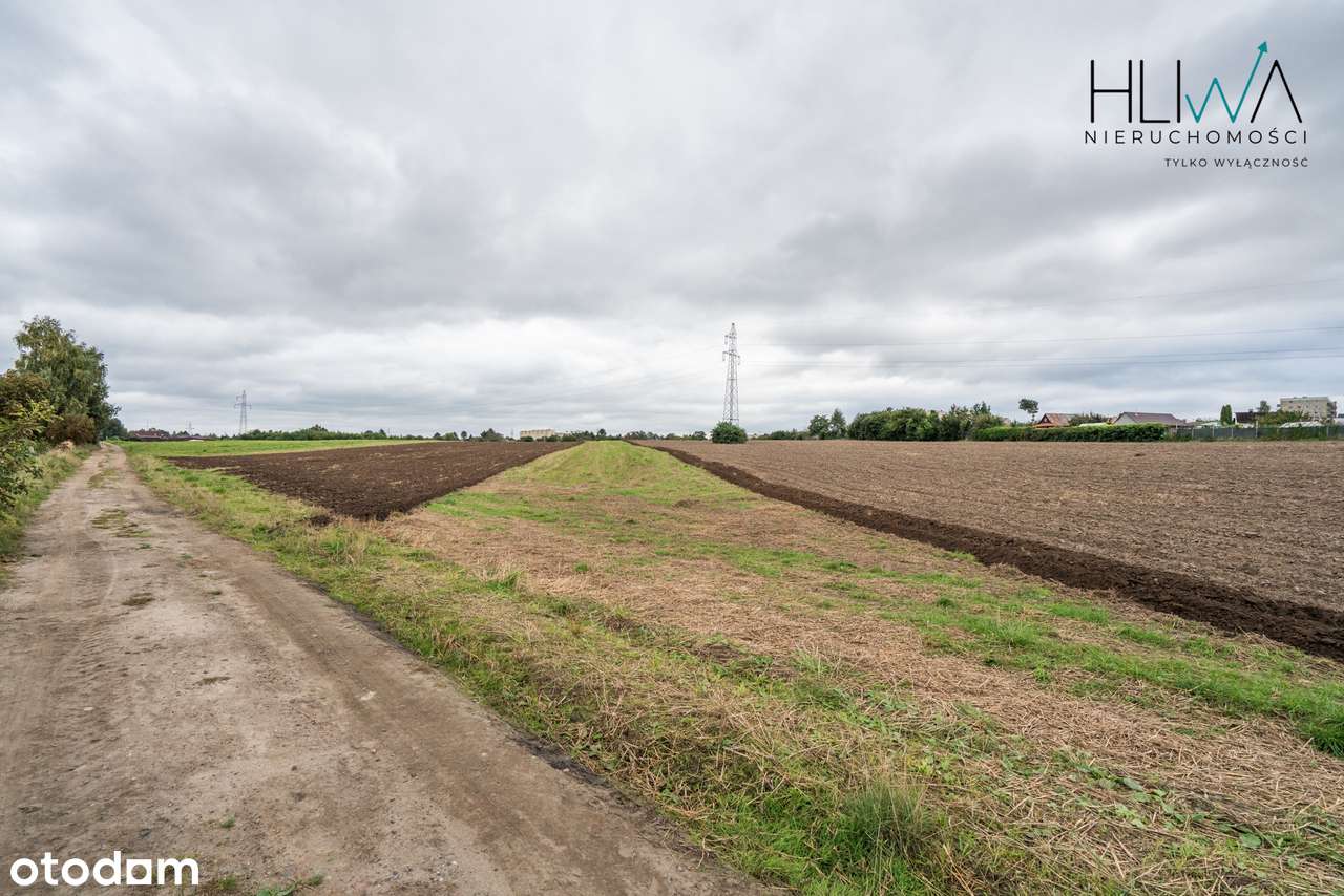 Działki rolne Gdynia Obłuże, powierzchnie od 3003 m2-15