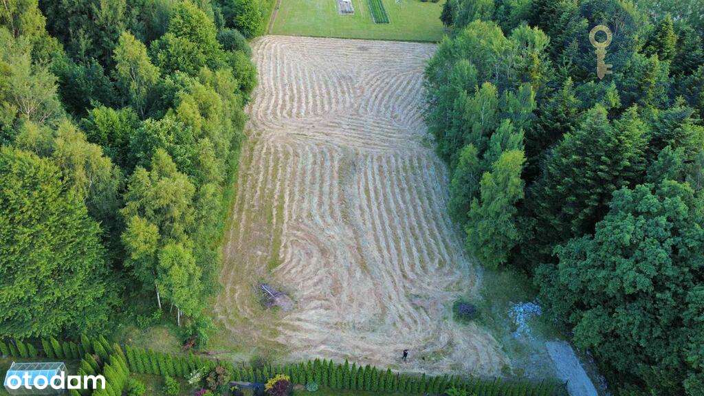 |Działka|0,2568 HA|Gorlice|Sokół|