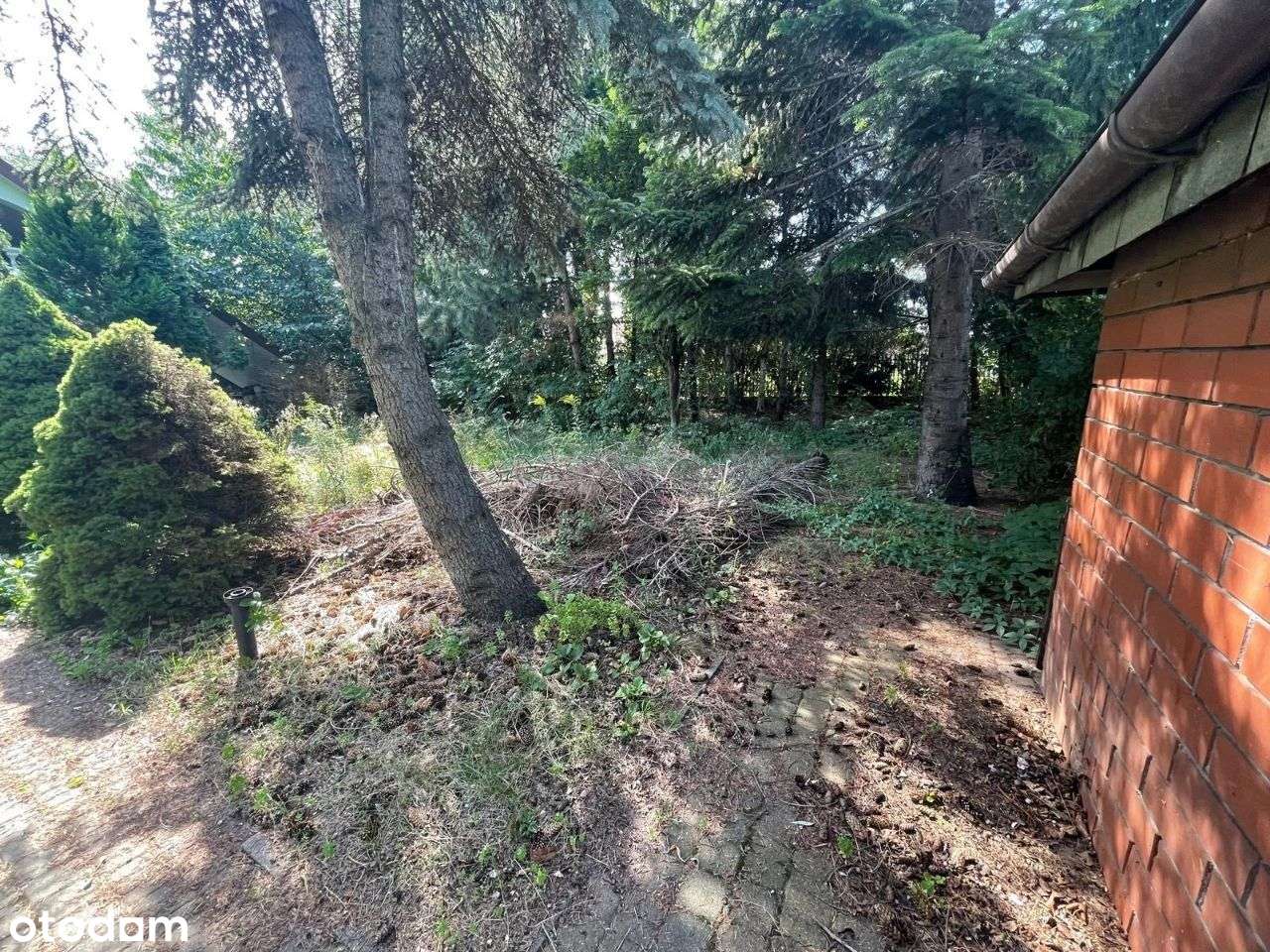 Na sprzedaż: dom wolnostojący w Markach - Pełny obrazek: 3/6