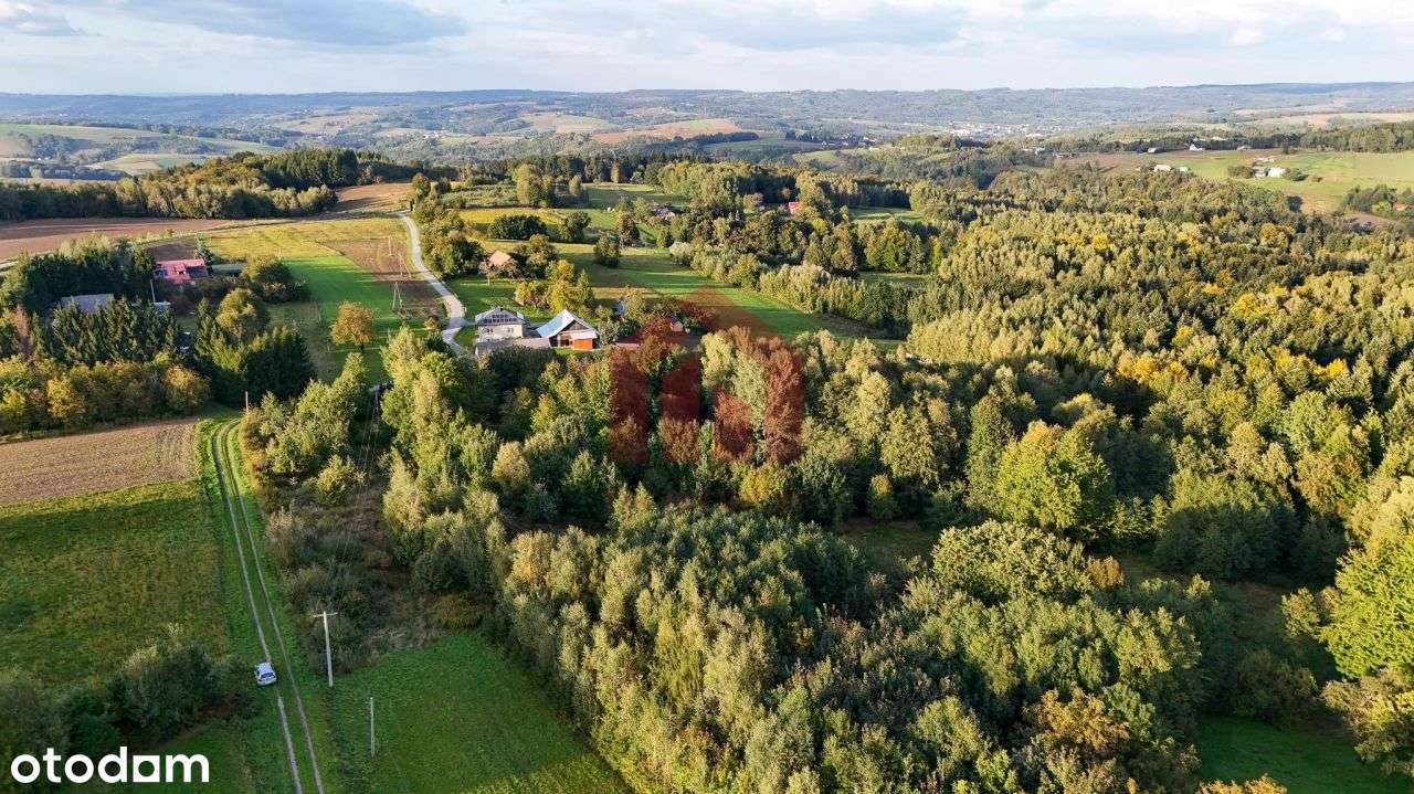 1,47 ha, Wz! dom w lesie? biznes? Jedyna taka!-9