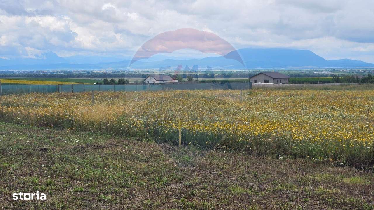 Teren Bod Strada Brasovului - Imagine principală: 4/4