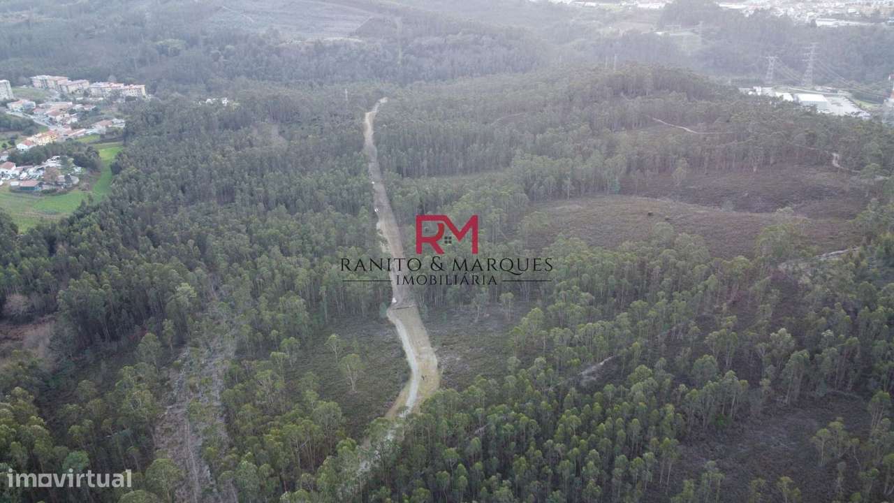 TERRENO RÚSTICO | VALONGO, ZONA "CABEDA" - Grande imagem: 4/12