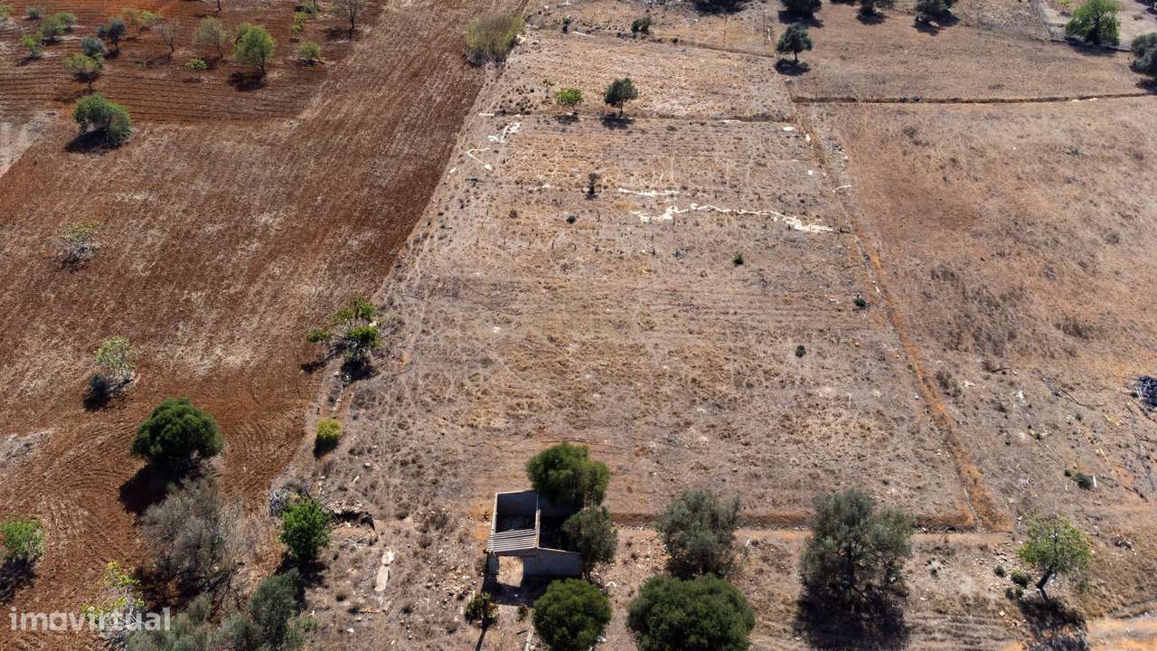 Terreno rustico de 8 040 m2 em Tunes - Grande imagem: 3/8