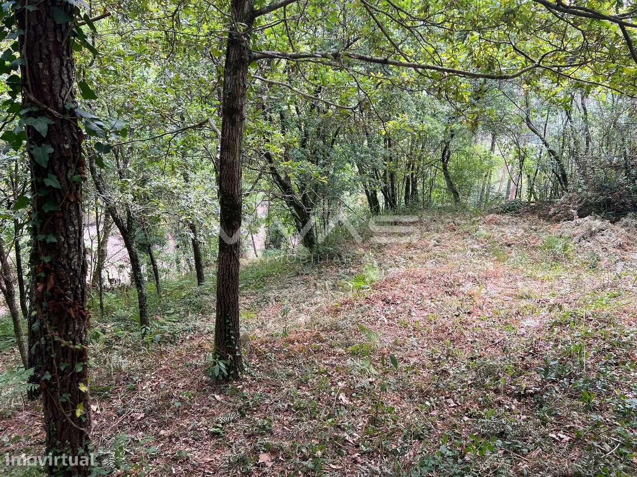 Terreno Rústico  Venda em Bouro (Santa Marta),Amares - Grande imagem: 5/14
