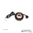 STATOR YAMAHA TTR 250 (1999-2006) - 2