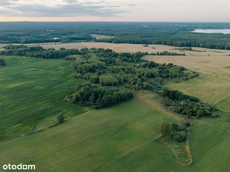 Działka rolna 11 ha-siedlisko, inwestycja, OZE - Pełny obrazek: 5/13