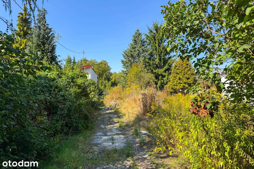 Działka z koncepcją zabudowy domu w Michałowicach - Pełny obrazek: 4/7