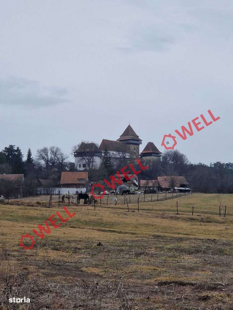 De vânzare teren intravilan în satul Viscrii - Imagine principală: 4/6