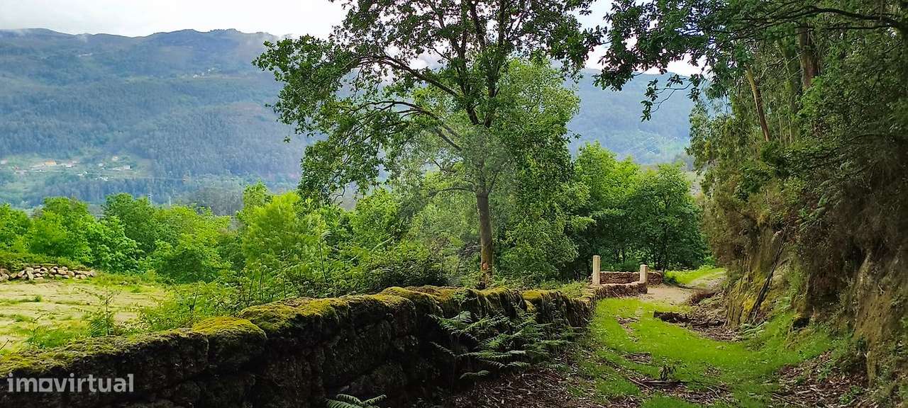Terreno  para venda-37