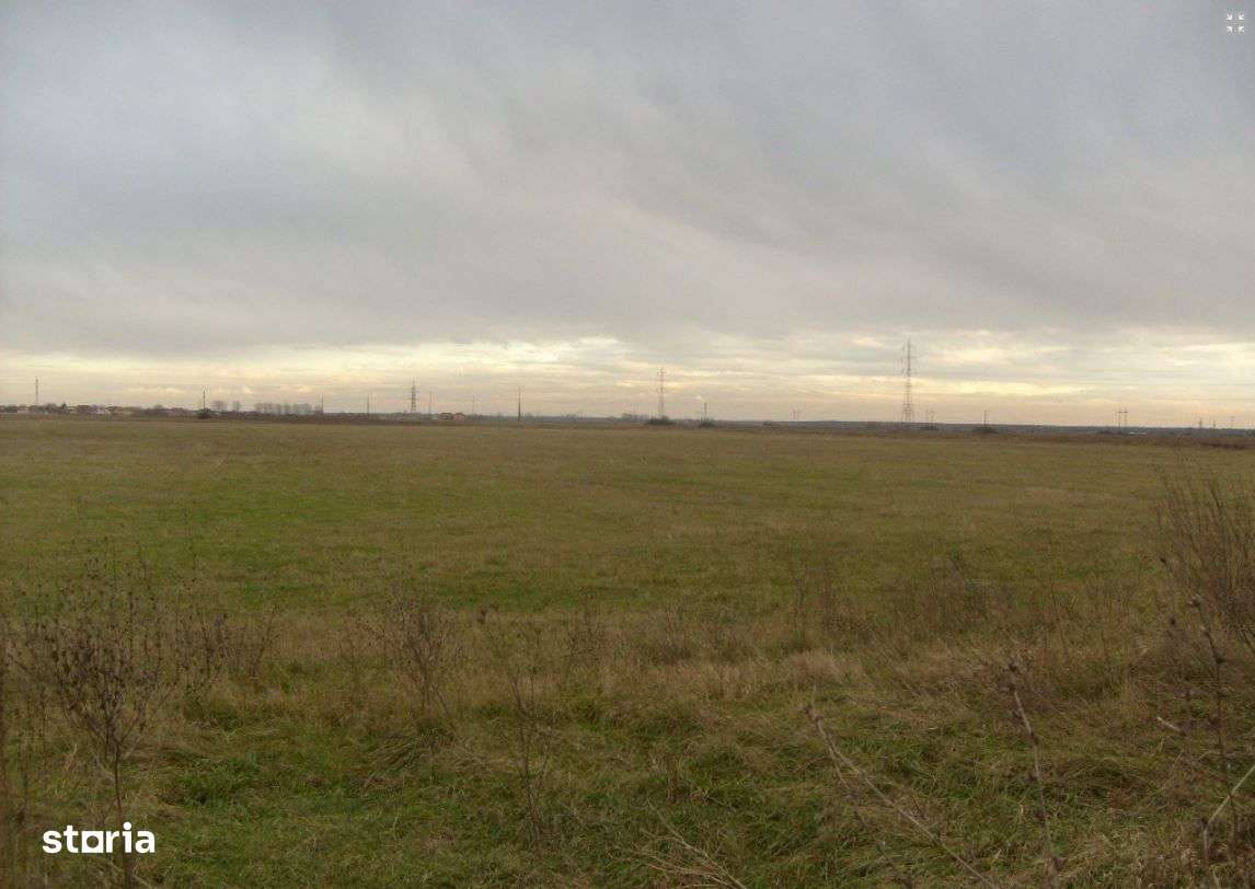 Teren Ciocanesti - Imagine principală: 4/4