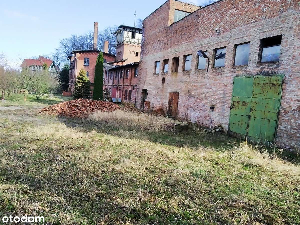 Na sprzedaż cegielnia Kadyny-8