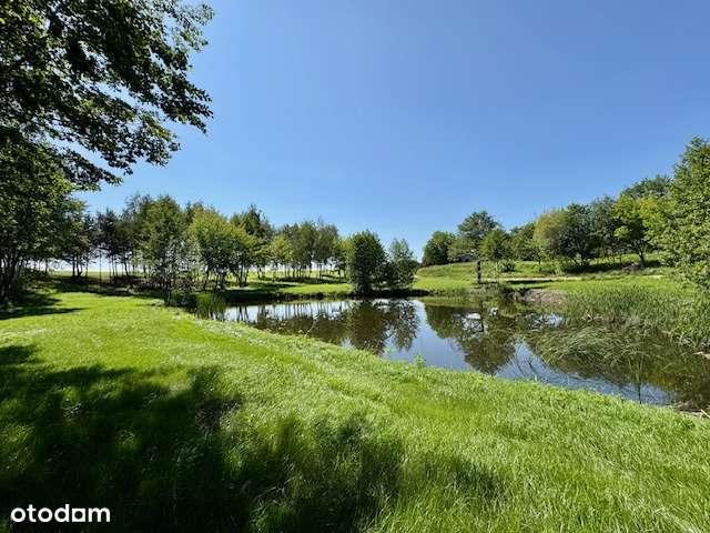 PIĘKNA DZIAŁKA nad jeziorem (las, staw, media, mpzp)-6