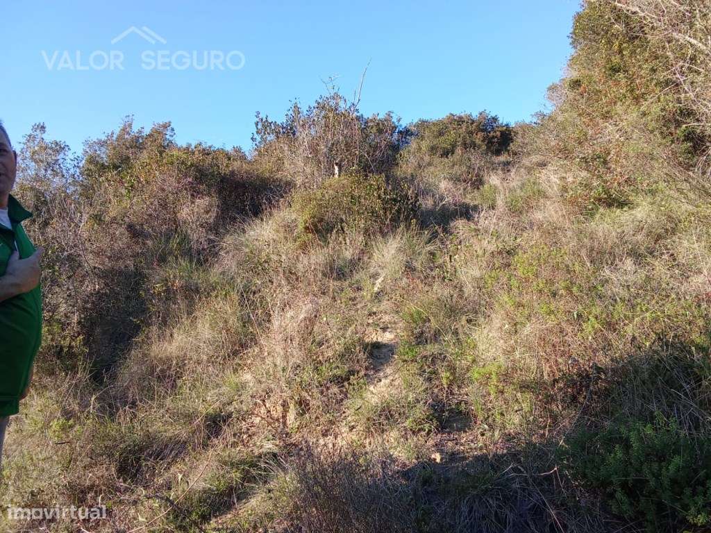 Terreno rústico em Vale Serrão, Pereiro de Palhacana, Alenquer-28
