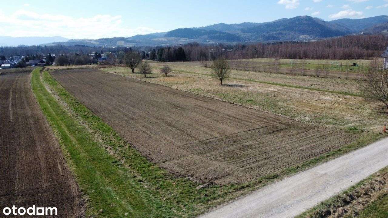 Oferta Na Wyłączność - Dostępna Tylko U Nas