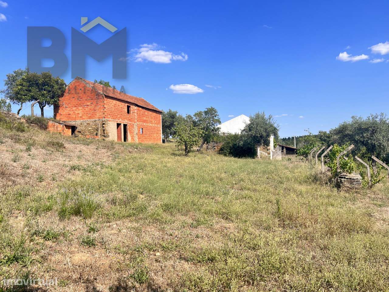 Moradia T3 Venda em Santo André das Tojeiras,Castelo Branco-30