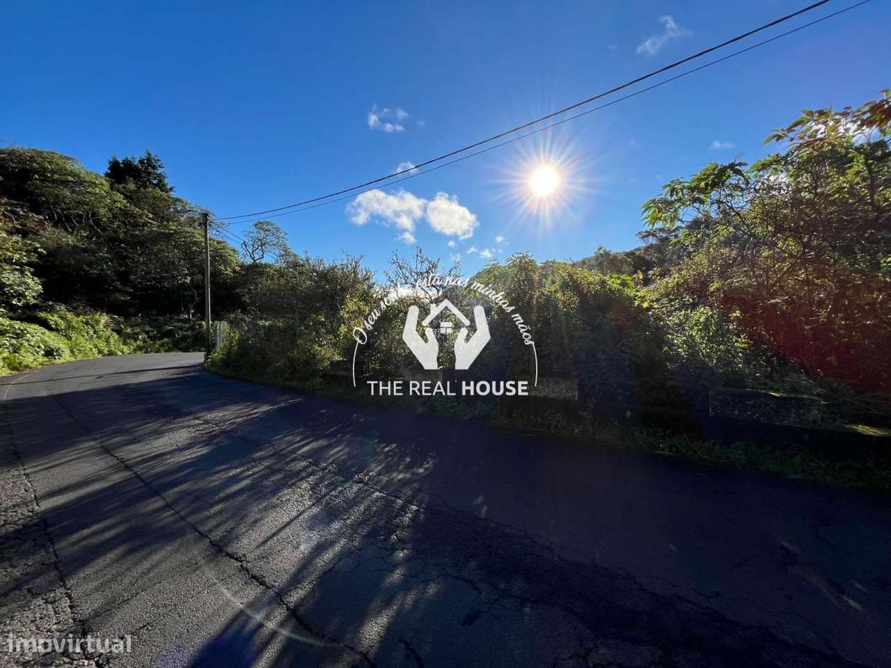 Terreno Rústico em Santo António da Serra - Grande imagem: 5/14