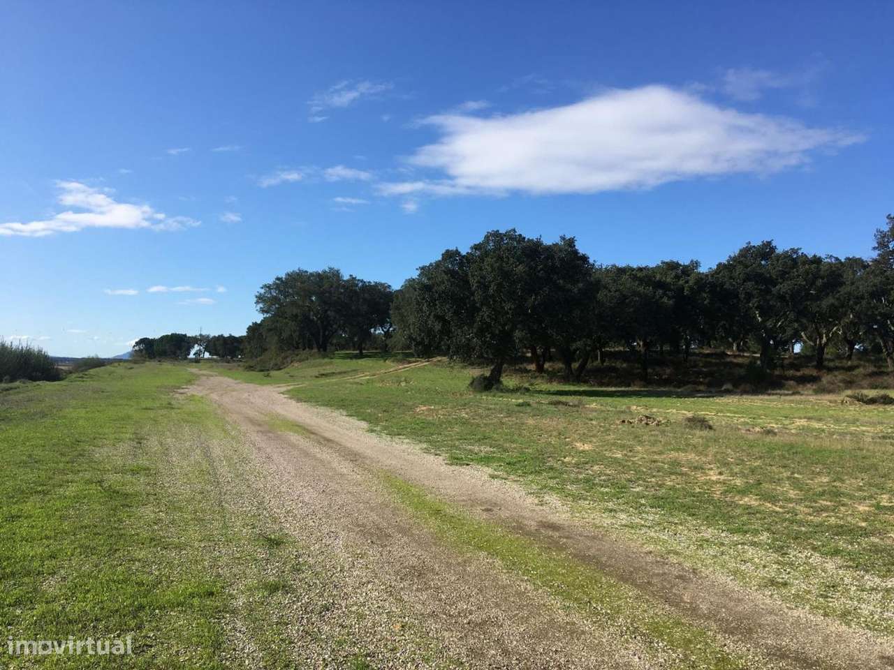 Terreno com área de construção e pista de aviação - Grande imagem: 3/20