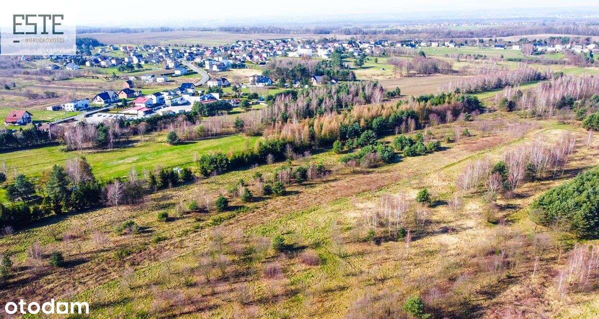 Czas na odpoczynek - Pełny obrazek: 4/8