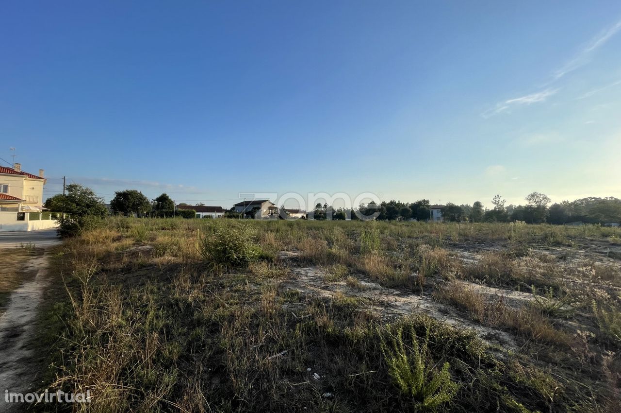 Terreno Loteado em Avanca