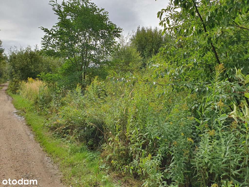 Działka budowlano-usługowa Wrocław Strachowice-12